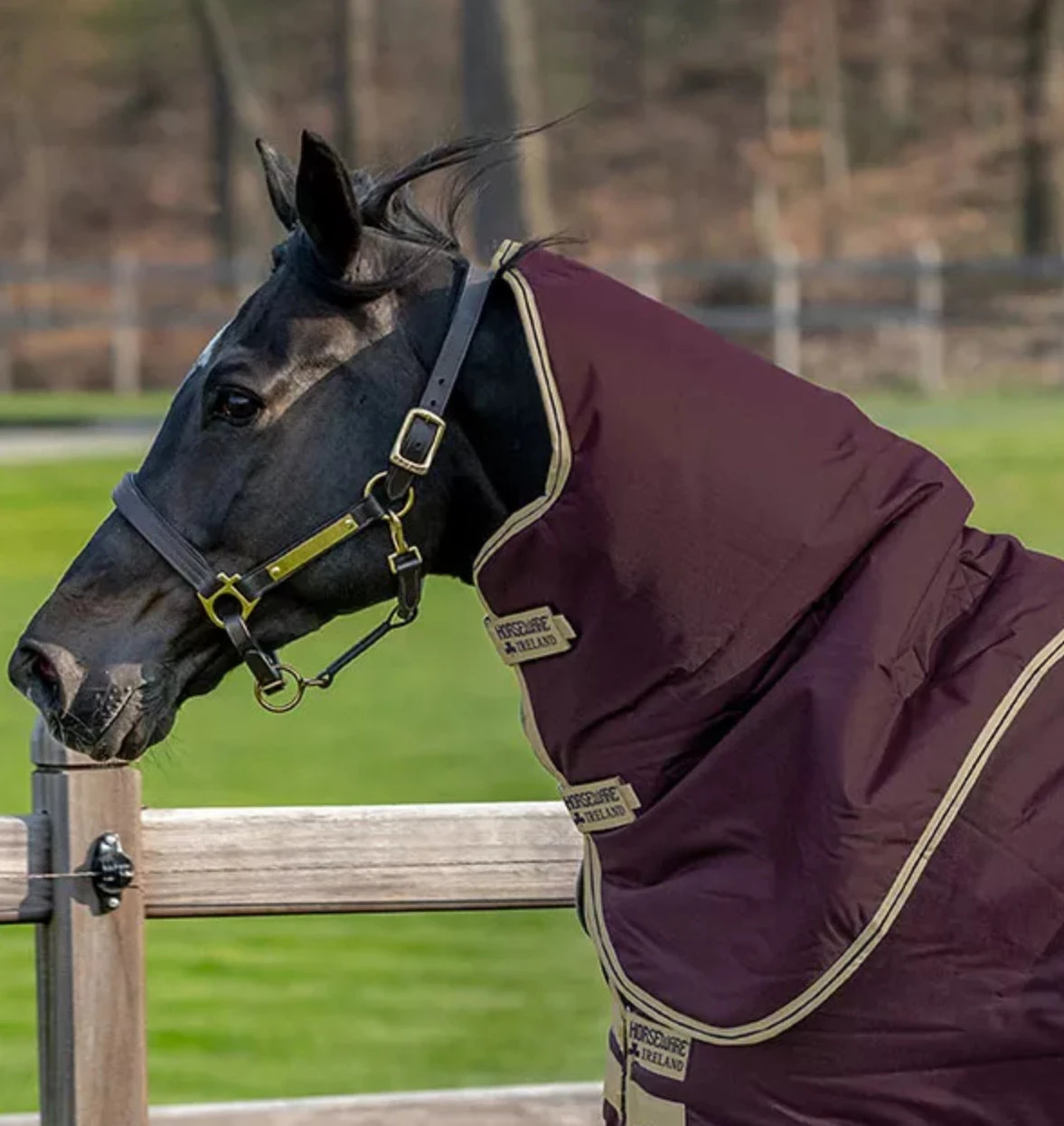 Amigo Hero Ripstop Hood (0g)