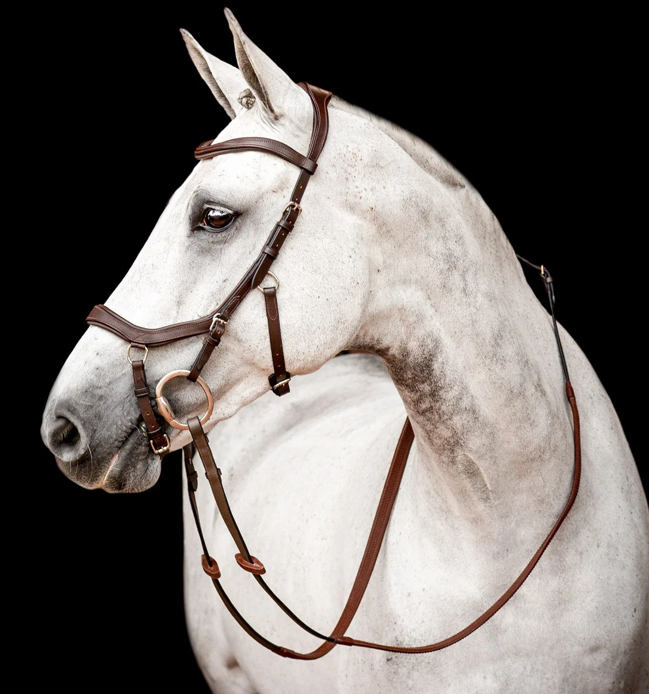 Rambo Micklem 2 Competition Bridle