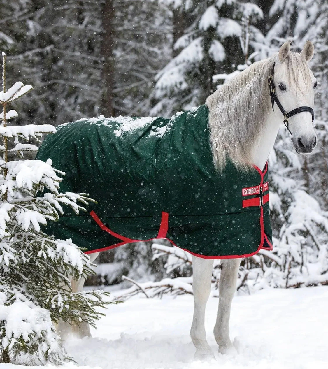 Rambo® Original (400g Heavy)