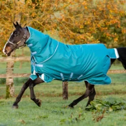 Amigo Bravo 12 Plus Turnout (400g Heavy)