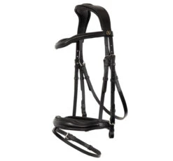BR Luton Bridle