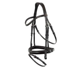 BR Brackley Bridle