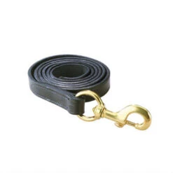 Perri’s Leather Lead With Brass Snap