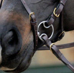 Sprenger Horse&More Max Control 3 Type Bevel Double Jointed Bit