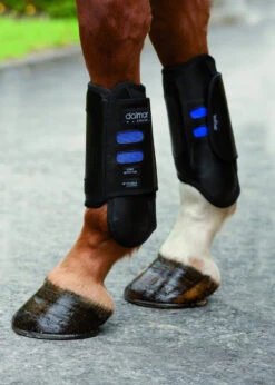 Dalmar Eventer Front Boots