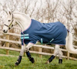Amigo Hero 900 Pony Turnout Sheet (0g)