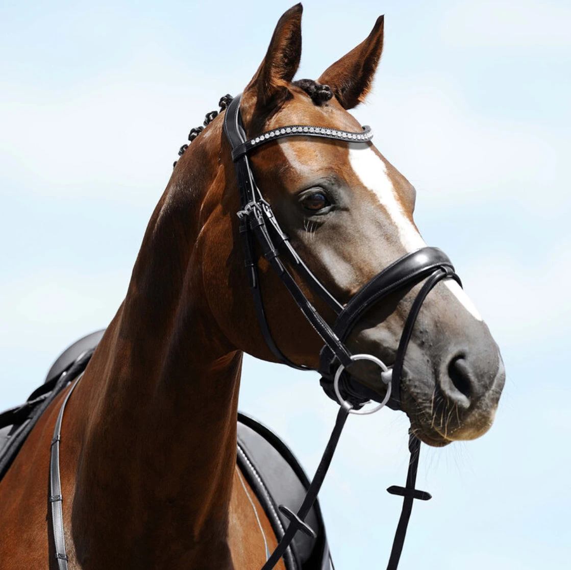 Passier Atlas Snaffle Bridle