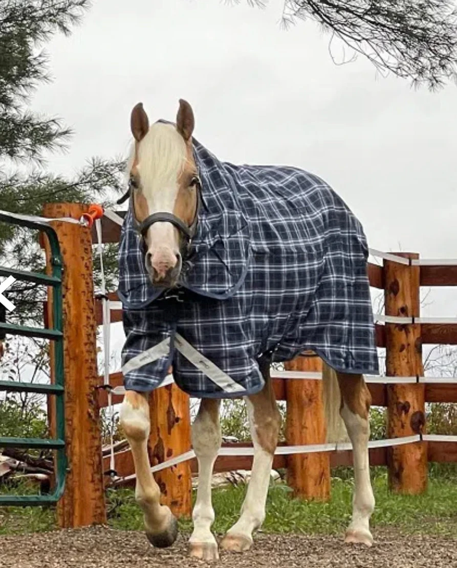 Rhino® Plus Turnout Sheet (0g Lite)