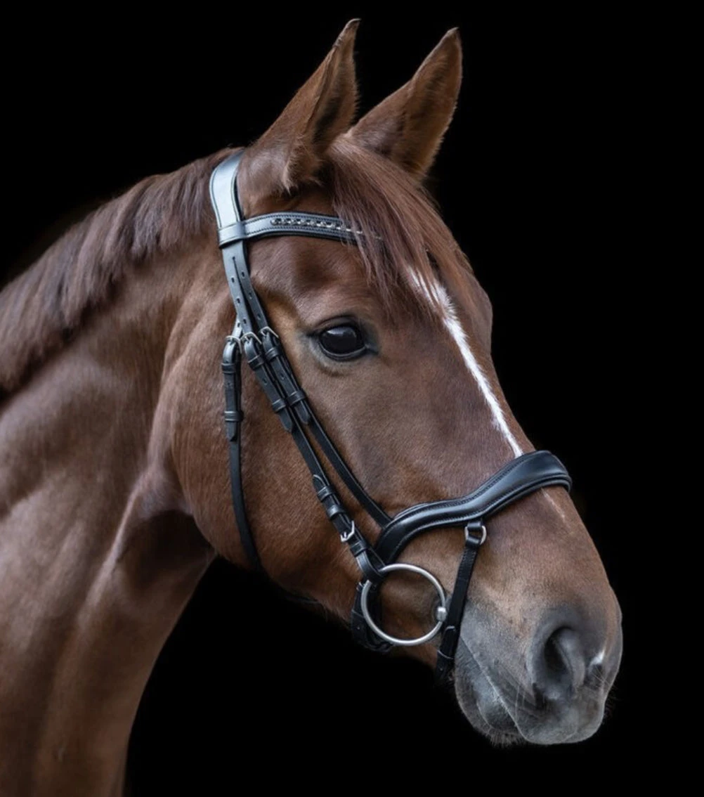 Waldhausen X-Line Anatomical Newshape II Bridle