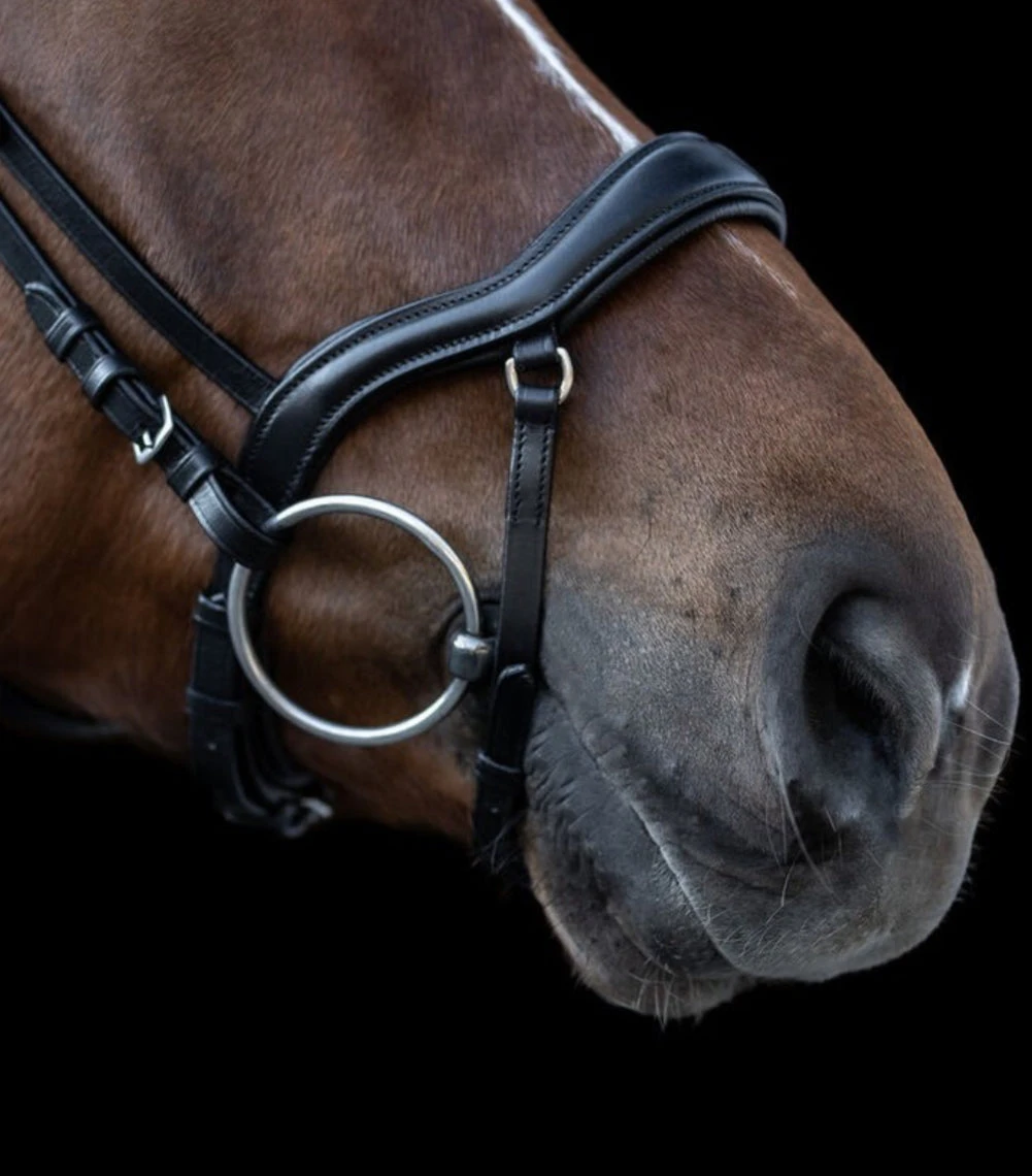 Waldhausen X-Line Anatomical Newshape II Bridle - Image 2
