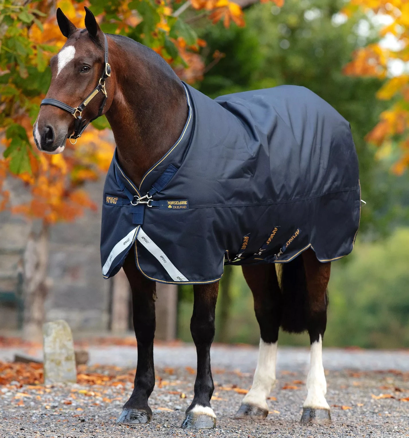 Amigo® Bravo 12 XL Turnout Blanket (250g Medium)