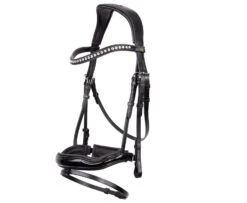 BR Bolton Bridle