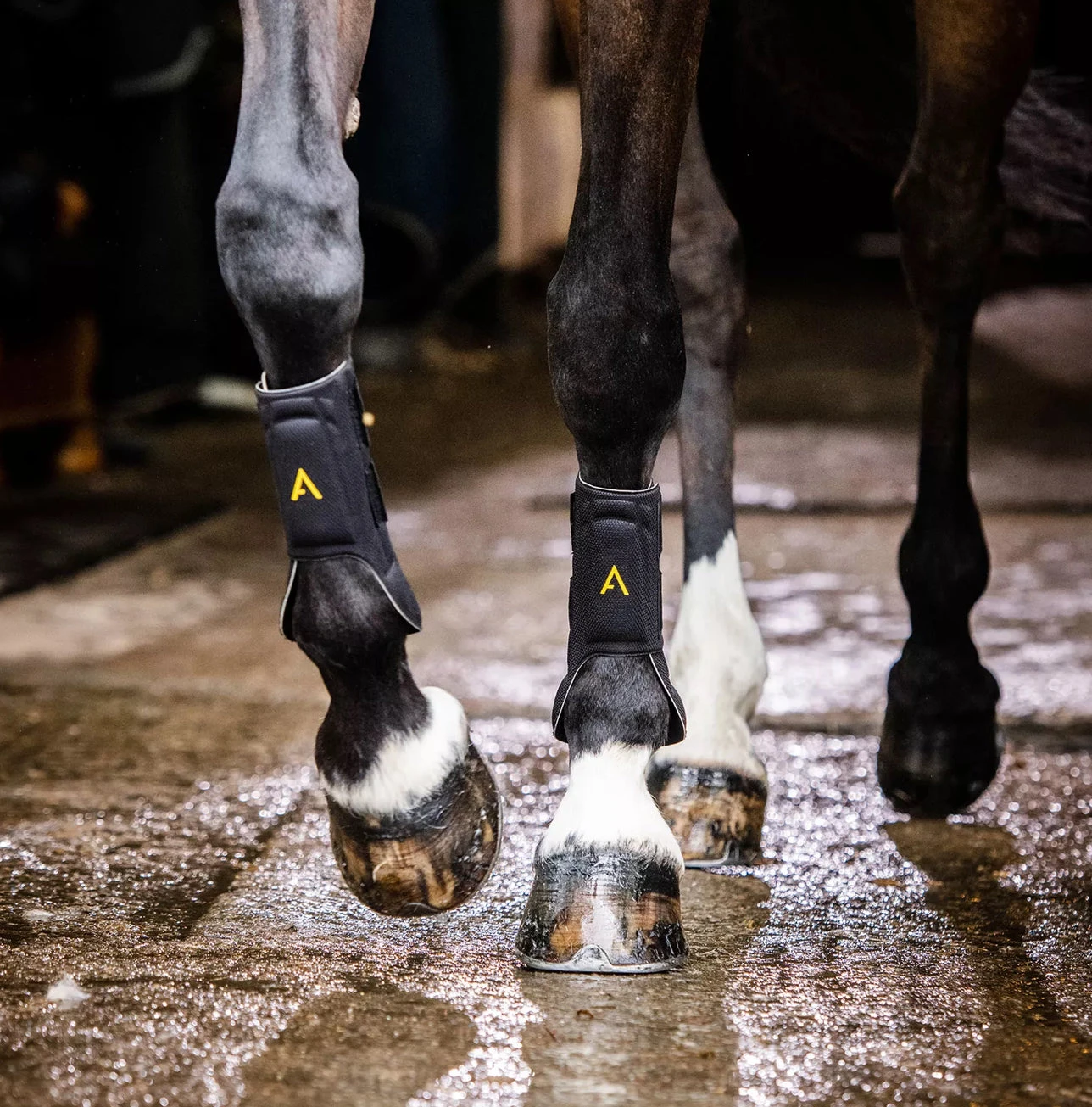 Adagio By Horseware Tendon Boots - Image 4