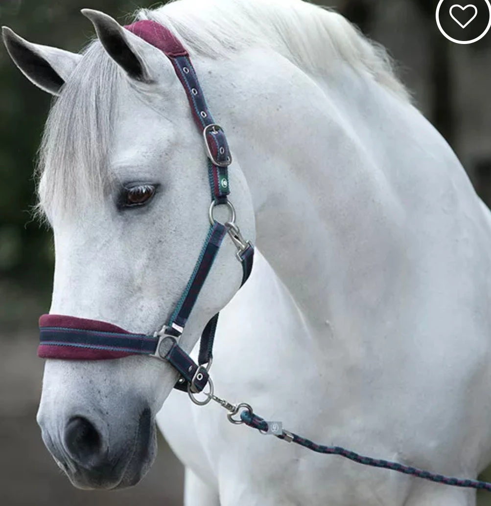 Horseware Rambo® Padded Halter - Image 3