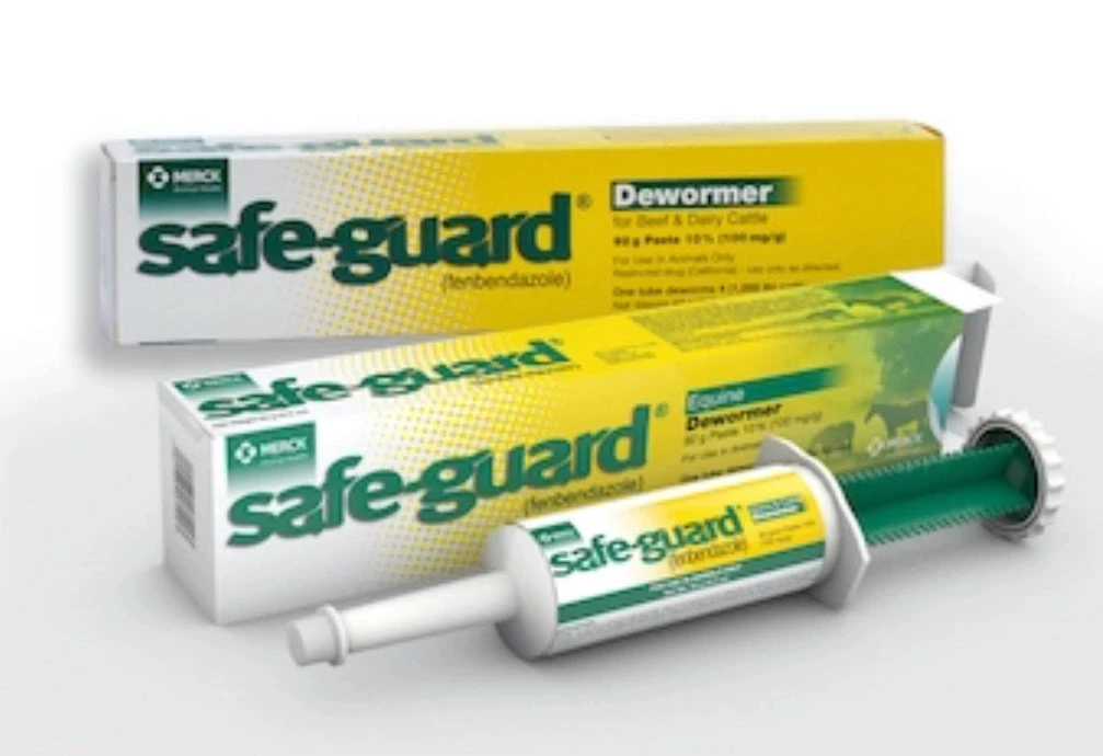 Safe-Guard Equine Wormer - Image 2