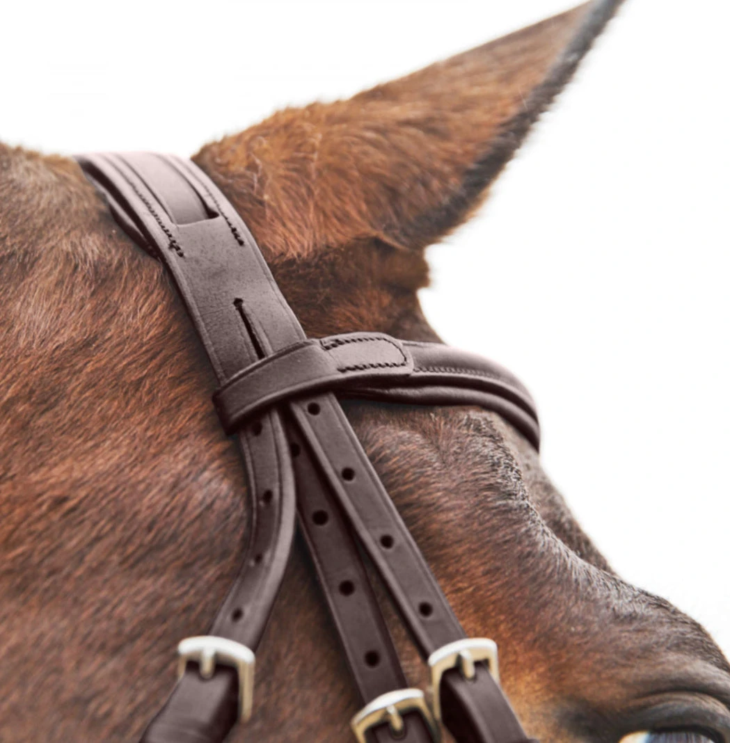 Horze Prescott Figure 8 Bridle