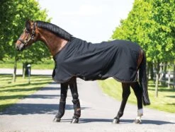 Rambo Ionic Stable Sheet