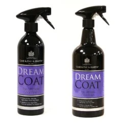 Carr & Day & Martin DreamCoat