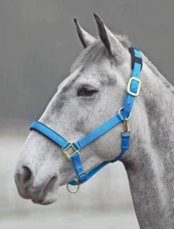 Shires Topaz Nylon Breakaway Halter